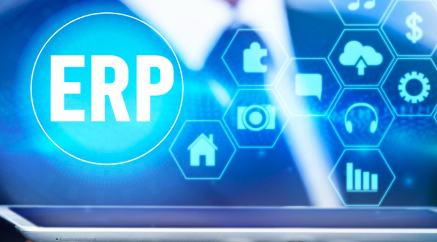 Independent Consulting for ERP Excellence